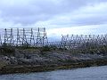 Nordkap 2009 366